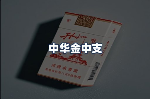 中华金中支